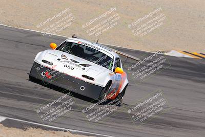 media/Oct-14-2023-Lucky Dog Racing (Sat) [[cef75db616]]/Turn 12 Exit-Bowl Backside (230pm)/